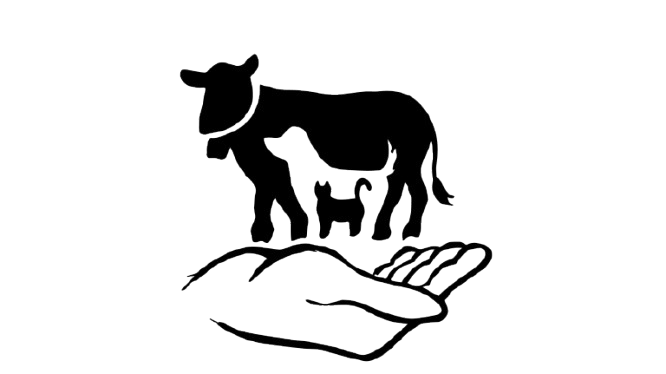 LDz Veterinārais serviss